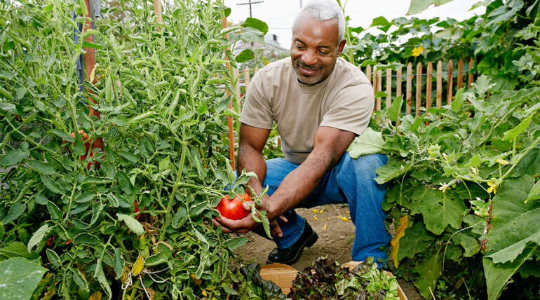 Jardinería orgánica: Alternativas naturales para el cuidado del césped