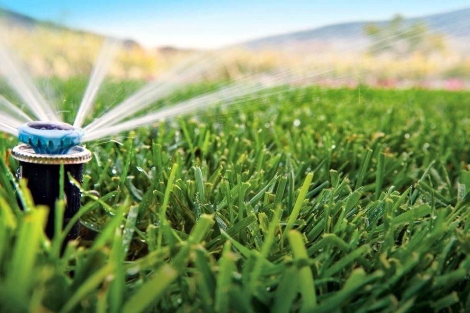 El riego inteligente: Ahorro de agua y cuidado del césped